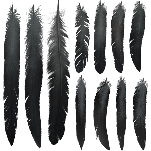 BD_M_3040_Fether_a (3).png